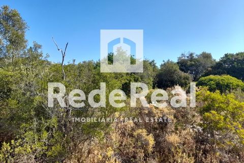 Helårsgrund i Estoi, Faro, Estoi - € 39.500 | Ref: 022250073 - foto 13
