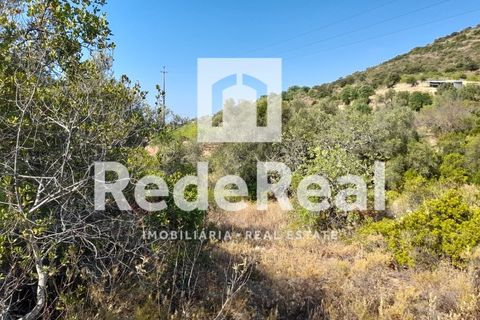 Helårsgrund i Estoi, Faro, Estoi - € 39.500 | Ref: 022250073 - foto 14