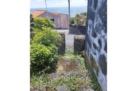 Helårsgrund i Candelaria, Pico, Candelaria - € 120.000 | Ref: 121701324-57 - foto 5