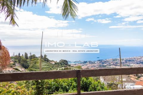 Villa i Funchal, Madeira, Funchal - € 290.000 | Ref: CAS_335 - foto 15