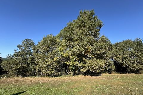 Villa a Boscamnant, Charente-Maritime, Boscamnant - € 299.000 | Ref: 165 - foto 9