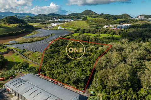 Helårsgrund i Ponta Delgada, Sao Miguel, Ponta Delgada - € 705.000 | Ref: ONE401811-14 - foto 3