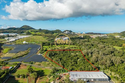 Helårsgrund i Ponta Delgada, Sao Miguel, Ponta Delgada - € 705.000 | Ref: ONE401811-14 - foto 4