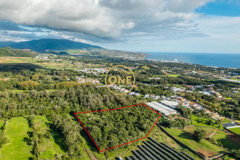 Helårsgrund i Ponta Delgada, Sao Miguel, Ponta Delgada - € 705.000 | Ref: ONE401811-14 - foto 5