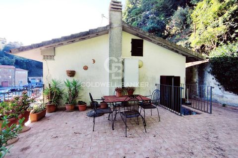 Landejendom i Scansano, Grosseto, Scansano - € 165.000 | Ref: CBI105-1176-429 - foto 19