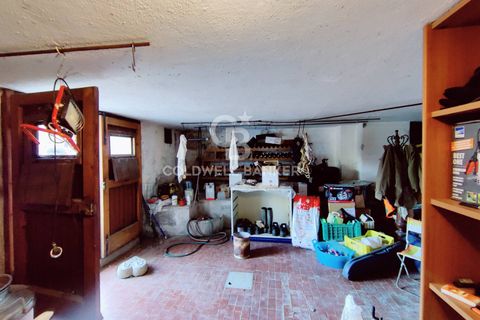 Landejendom i Scansano, Grosseto, Scansano - € 165.000 | Ref: CBI105-1176-429 - foto 25