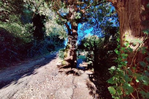 Landejendom i Scansano, Grosseto, Scansano - € 165.000 | Ref: CBI105-1176-429 - foto 27