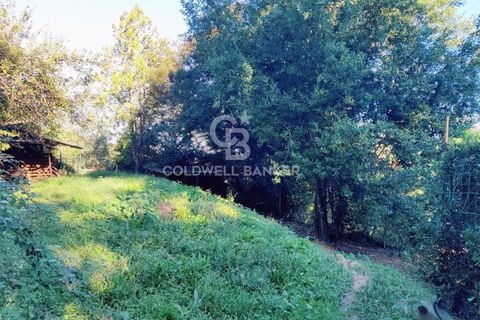 Landejendom i Scansano, Grosseto, Scansano - € 165.000 | Ref: CBI105-1176-429 - foto 29
