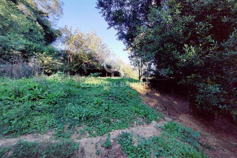 Landejendom i Scansano, Grosseto, Scansano - € 165.000 | Ref: CBI105-1176-429 - foto 30