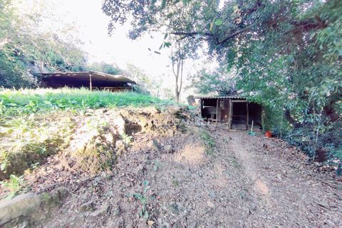 Landejendom i Scansano, Grosseto, Scansano - € 165.000 | Ref: CBI105-1176-429 - foto 31