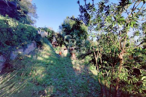 Landejendom i Scansano, Grosseto, Scansano - € 165.000 | Ref: CBI105-1176-429 - foto 33