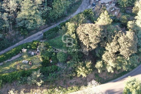 Landejendom i Scansano, Grosseto, Scansano - € 165.000 | Ref: CBI105-1176-429 - foto 36