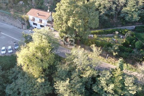 Landejendom i Scansano, Grosseto, Scansano - € 165.000 | Ref: CBI105-1176-429 - foto 37