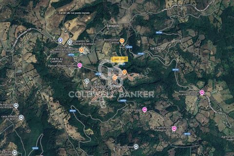 Landejendom i Scansano, Grosseto, Scansano - € 165.000 | Ref: CBI105-1176-429 - foto 40