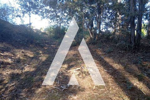 Helårsgrund i Amarante, Porto, Amarante - € 30.000 | Ref: 1360093/25PN - foto 2