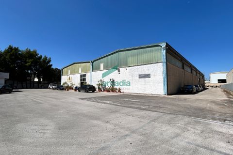 Erhvervsejendom i Modugno, Bari, Modugno - € 1.700.000 | Ref: 11997/2025 - foto 2