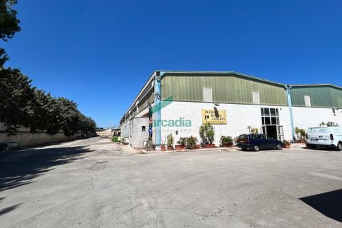 Erhvervsejendom i Modugno, Bari, Modugno - € 1.700.000 | Ref: 11997/2025 - foto 3