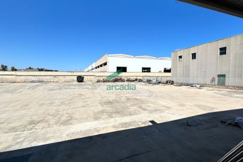Erhvervsejendom i Modugno, Bari, Modugno - € 1.700.000 | Ref: 11997/2025 - foto 10