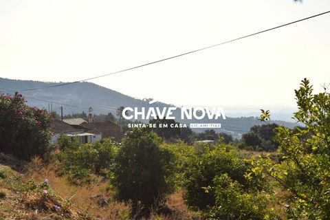 Masia a Monchique, Faro, Monchique - € 365.000 | Ref: VLM/00369 - foto 3