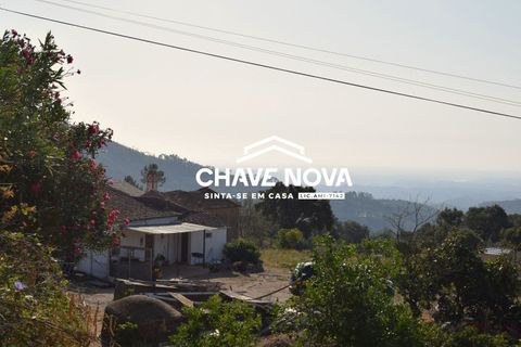 Masia a Monchique, Faro, Monchique - € 365.000 | Ref: VLM/00369 - foto 4