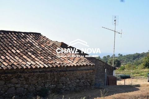 Masia a Monchique, Faro, Monchique - € 365.000 | Ref: VLM/00369 - foto 5