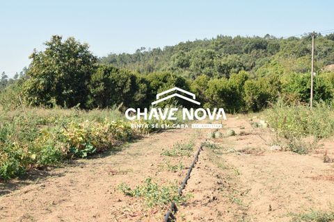 Masia a Monchique, Faro, Monchique - € 365.000 | Ref: VLM/00369 - foto 7
