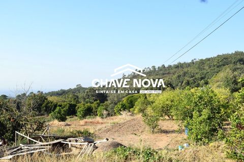 Masia a Monchique, Faro, Monchique - € 365.000 | Ref: VLM/00369 - foto 10
