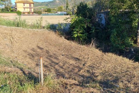 Helårsgrund i Controguerra, Teramo, Controguerra - € 25.000 | Ref: VM2749 - foto 4