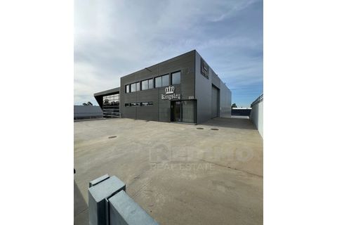Bungalou a Fiaes, Aveiro, Fiaes - € 700.000 | Ref: 1349-PAV - foto 2