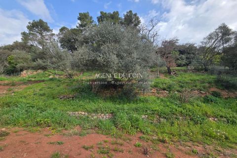 Terra a Les Arcs, Var, Les Arcs - € 395.000 | Ref: 718V284T - foto 3