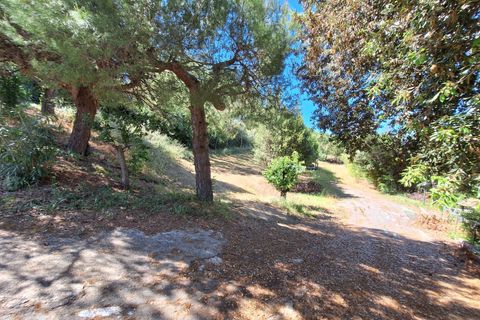 Landejendom i Colonnella, Teramo, Colonnella - € 330.000 | Ref: 33681 - foto 47