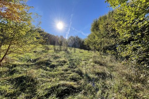 Helårsgrund i Schio, Vicenza, Schio - € 120.000 | Ref: DS3801 - foto 3