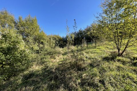 Helårsgrund i Schio, Vicenza, Schio - € 120.000 | Ref: DS3801 - foto 6
