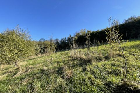Helårsgrund i Schio, Vicenza, Schio - € 120.000 | Ref: DS3801 - foto 7