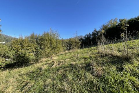 Helårsgrund i Schio, Vicenza, Schio - € 120.000 | Ref: DS3801 - foto 10