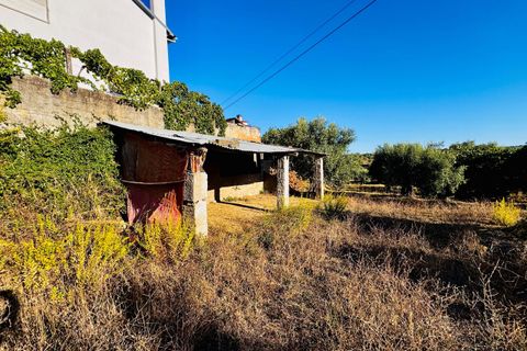 Villa i Tomar, Santarem, Tomar - € 120.000 | Ref: TL074 - foto 21