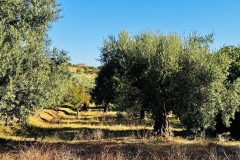 Villa i Tomar, Santarem, Tomar - € 120.000 | Ref: TL074 - foto 22