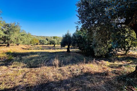Villa i Tomar, Santarem, Tomar - € 120.000 | Ref: TL074 - foto 23