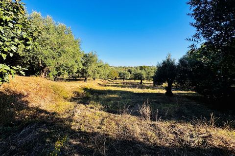 Villa i Tomar, Santarem, Tomar - € 120.000 | Ref: TL074 - foto 24