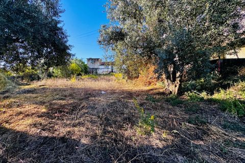 Villa i Tomar, Santarem, Tomar - € 120.000 | Ref: TL074 - foto 25