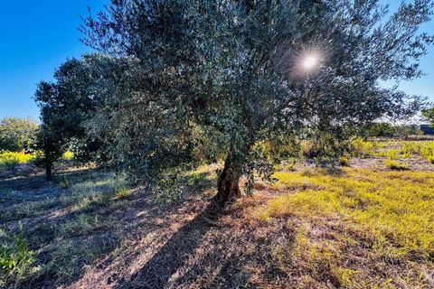 Villa i Tomar, Santarem, Tomar - € 120.000 | Ref: TL074 - foto 26