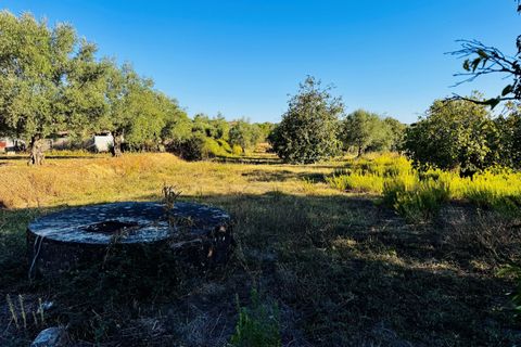 Villa i Tomar, Santarem, Tomar - € 120.000 | Ref: TL074 - foto 28