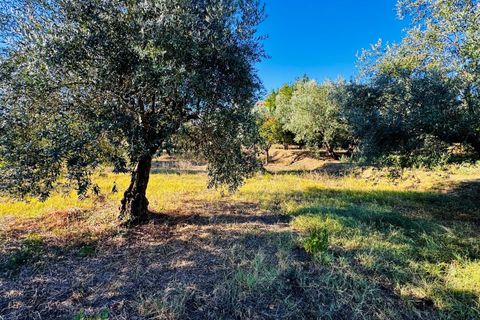 Villa i Tomar, Santarem, Tomar - € 120.000 | Ref: TL074 - foto 29