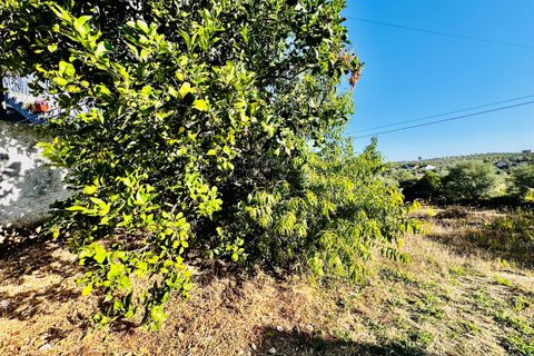 Villa i Tomar, Santarem, Tomar - € 120.000 | Ref: TL074 - foto 32