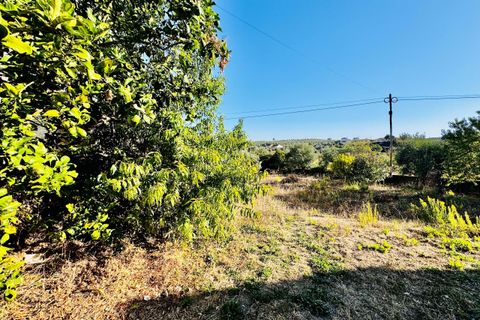 Villa i Tomar, Santarem, Tomar - € 120.000 | Ref: TL074 - foto 33