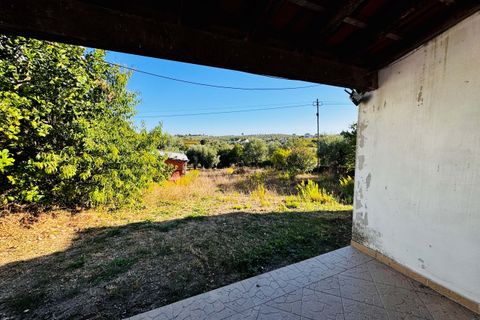 Villa i Tomar, Santarem, Tomar - € 120.000 | Ref: TL074 - foto 34