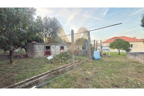 Villa a Ponte de Lima, Viana do Castelo, Ponte de Lima - € 295.000 | Ref: V347 - foto 29
