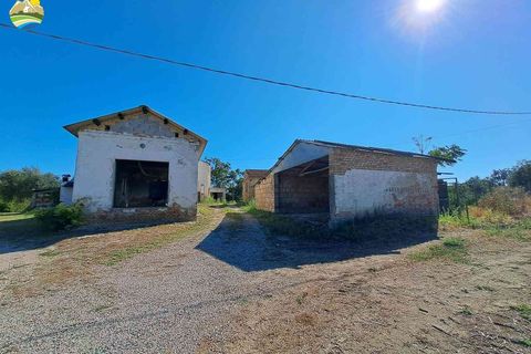 Villa a Elice, Pescara, Elice - € 82.000 | Ref: EL1108-609317 - foto 17