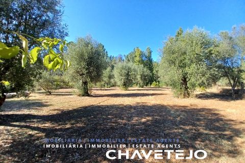 Villa a Tomar, Santarem, Tomar - € 230.000 | Ref: 554/25 - foto 33