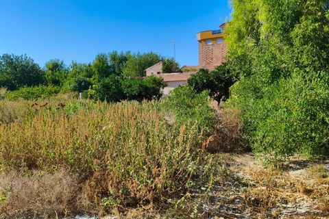 Tomt i Murcia, Murcia, Murcia - € 132 000 | Ref: EXP11404/8930 - foto 2